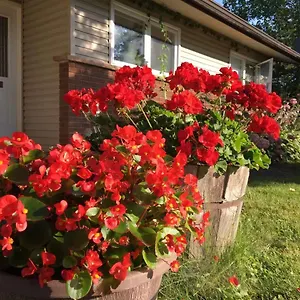  Homestay Graham Homestay Canada